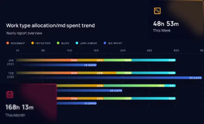 CEO project risk and time allocation overview